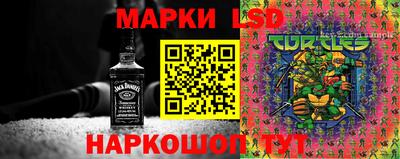 альфа пвп Заводоуковск