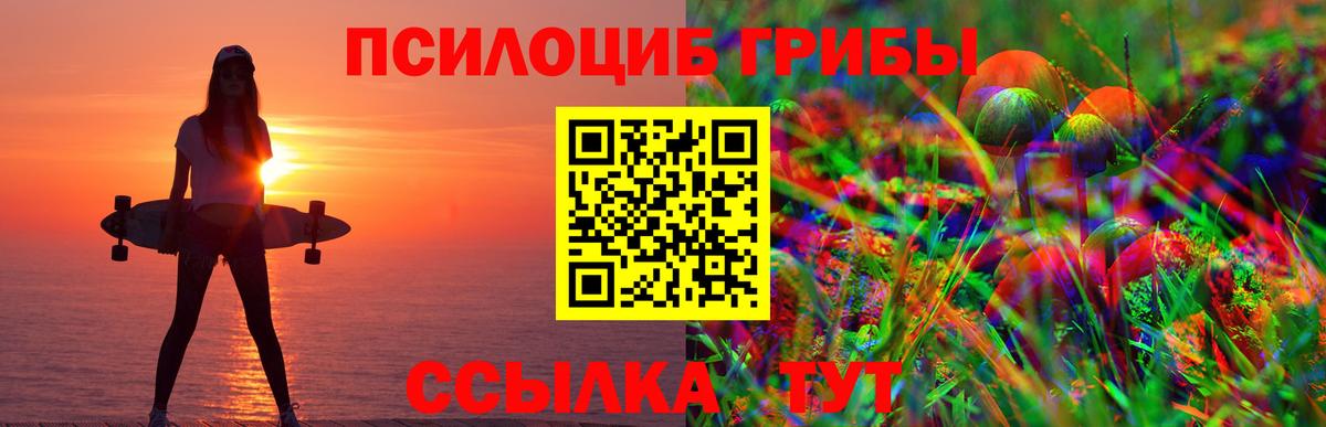 Заречный  Псилоцибиновые грибы Cubensis  Псилоцибиновые грибы Cubensis  Вход с VPN 